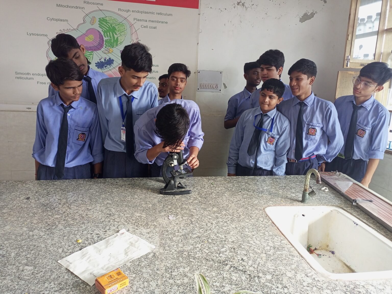 IMG_20230814_084305_368 (1)