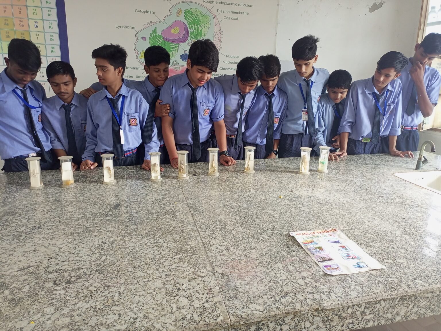 IMG_20230814_090009_695