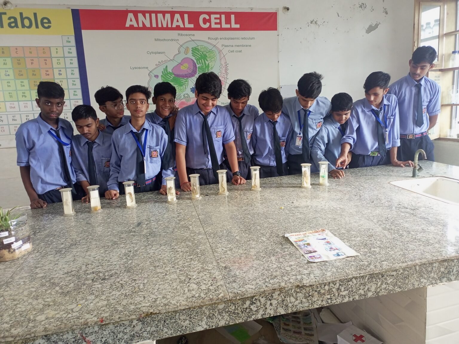 IMG_20230814_090010_998 (1)